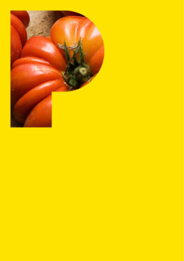 brand experience and communication design aachen