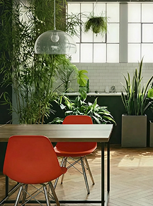 brand experience and communication design aachen