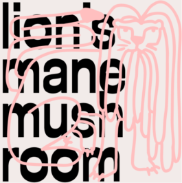 brand experience and communication design aachen