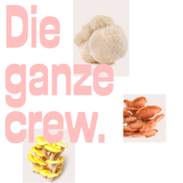 brand experience and communication design aachen