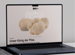 brand experience and communication design aachen
